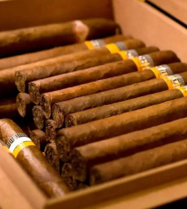 蒙特赛艇破浪时，雪茄余韵回收中：一场绅士运动的循环哲